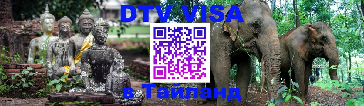 Сколько стоит DTV виза — актуальные цены, оформление даже без документов - 20.11.2025 